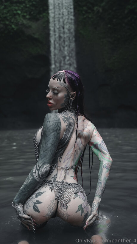 Panther 4 hd model gallery