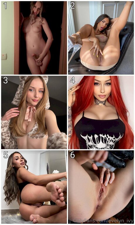 Evelyn Ivy star nice gallery