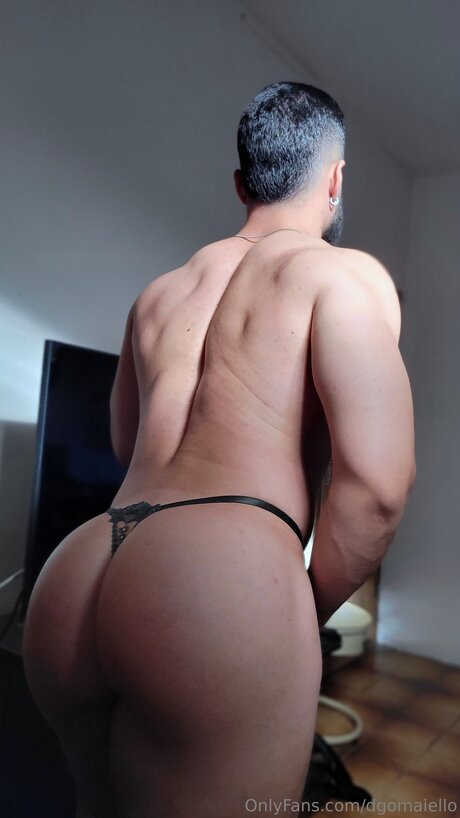 Dgomaiello pornstar naked galleries