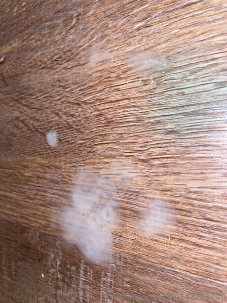 U347242840 star pictures