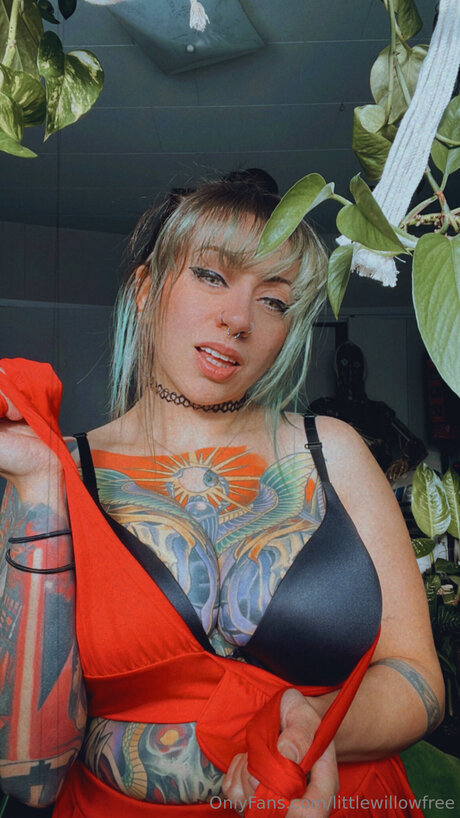 Littlewillowfree adult model gallery