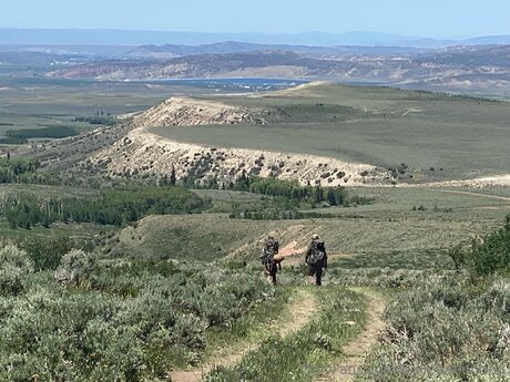 Bulletvalentina hot star photo