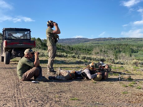 Bulletvalentina star perfect gallery