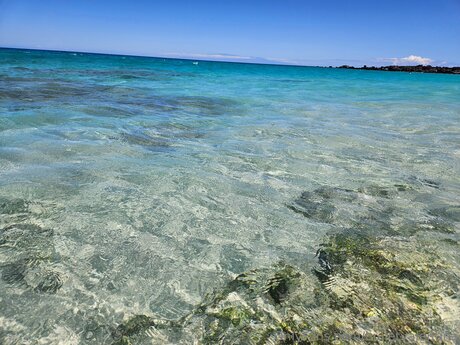 naked trans onlyfans nudes img