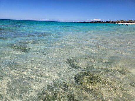 Bulletvalentina star top gallery