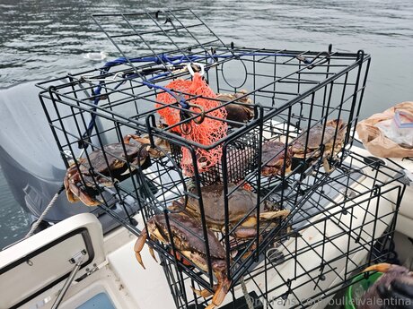 Bulletvalentina model beautiful pic