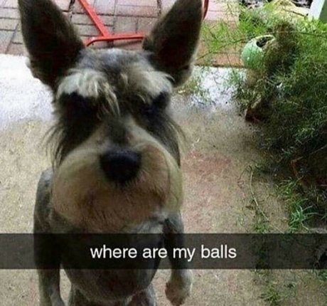 kuroshiika free model pics