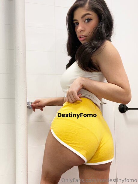 Notdestinyfomo pornstar art picture