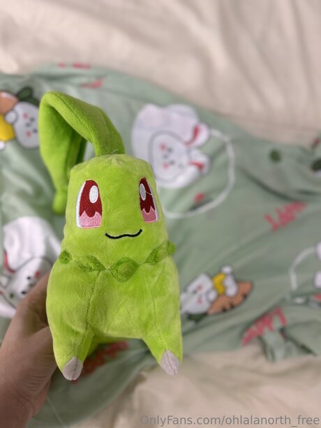 Ohlalanorth Free model sex galleries