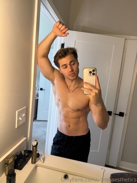 Aaronaesthetics pornographic actress img