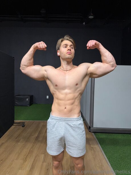 Aaronaesthetics model pretty pictures