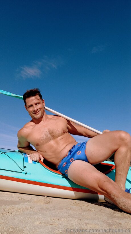 Nachoganico model images