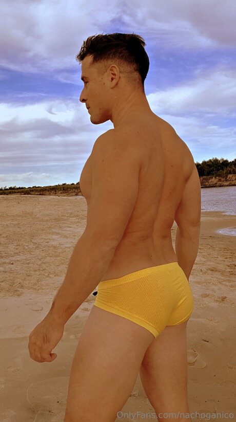 Nachoganico pornstar nude picture