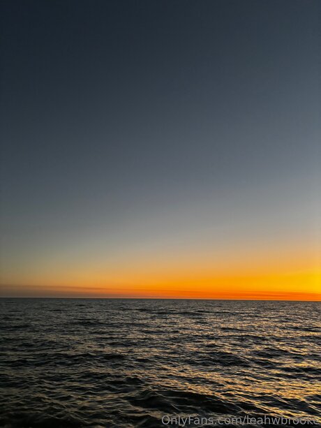 Leahwbrooke naked star pictures