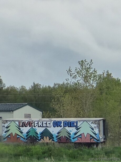 Gnarlymarbles pornstar free archive