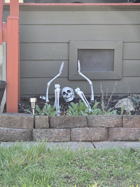 Gnarlymarbles nice pornstar pics