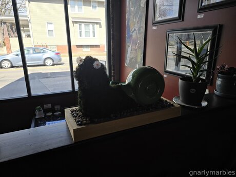 Gnarlymarbles star hot photos