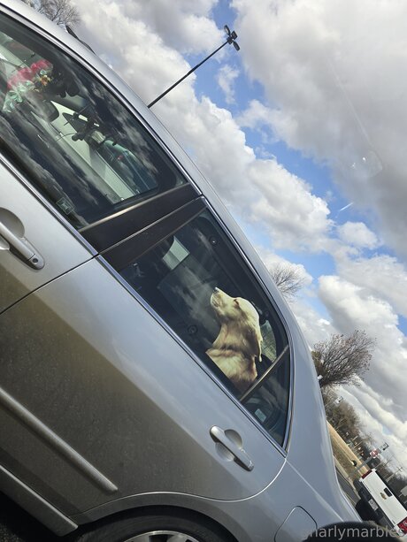 natural pawg onlyfans pornographic photos