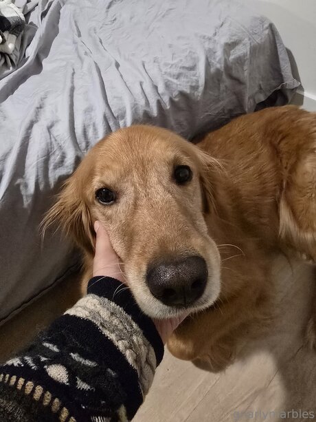 Gnarlymarbles porn star gallery