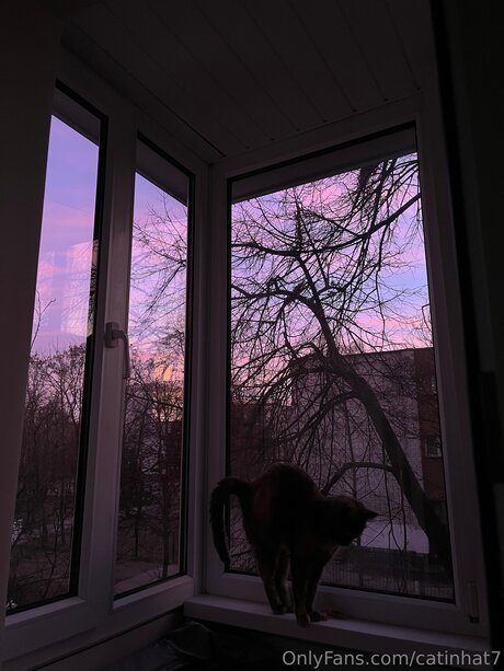 Catinhat7 nice pornstar images