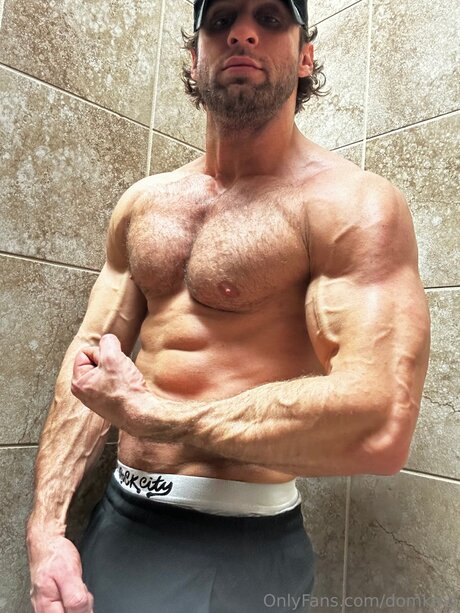 Domking star art img