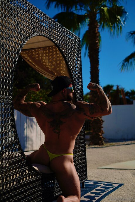 Domsluvz star beautiful image