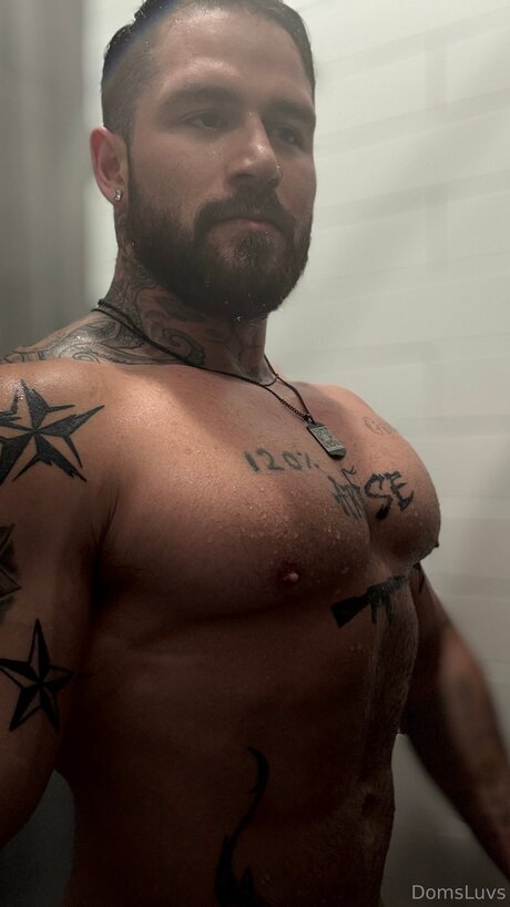 Domsluvz high quality pornstar archive