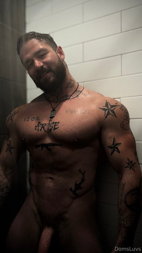 Domsluvz perfect star images