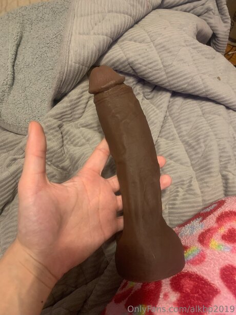 Alkbp2019 model best image