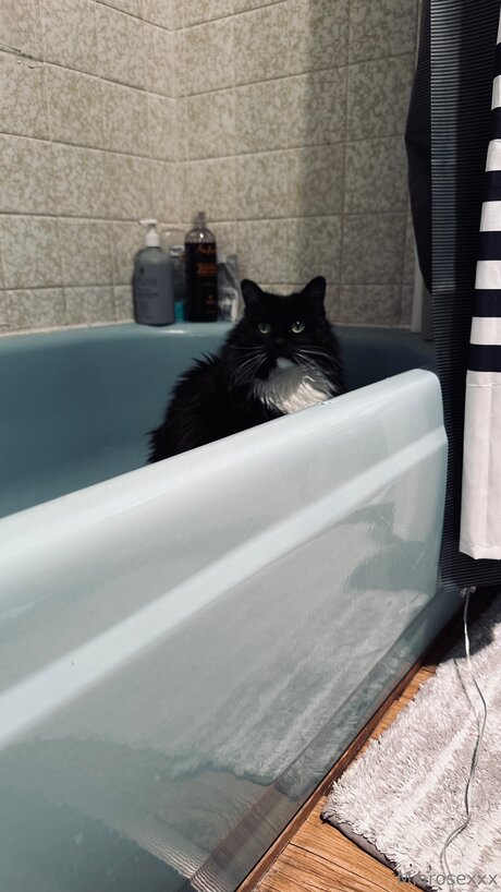 Miarosexxx pornstar beautiful pics