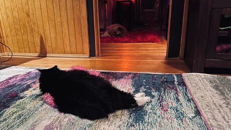 Miarosexxx star erotic pic