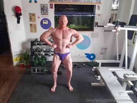 Jarvisstewart star xxx images