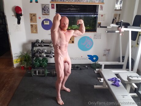 Jarvisstewart best star gallery