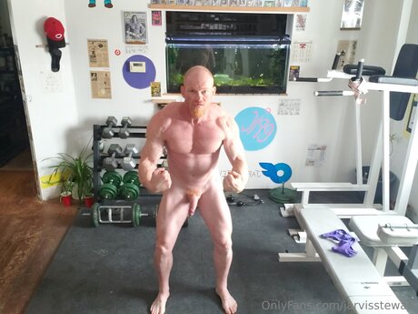 Jarvisstewart star hd photo