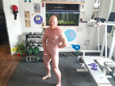 Jarvisstewart beautiful star img