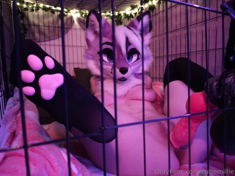 Cutiemillie model porn gallery