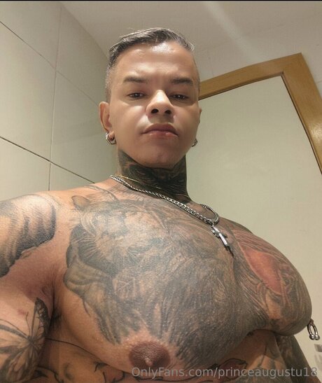 Princeaugustu18 pornstar art image