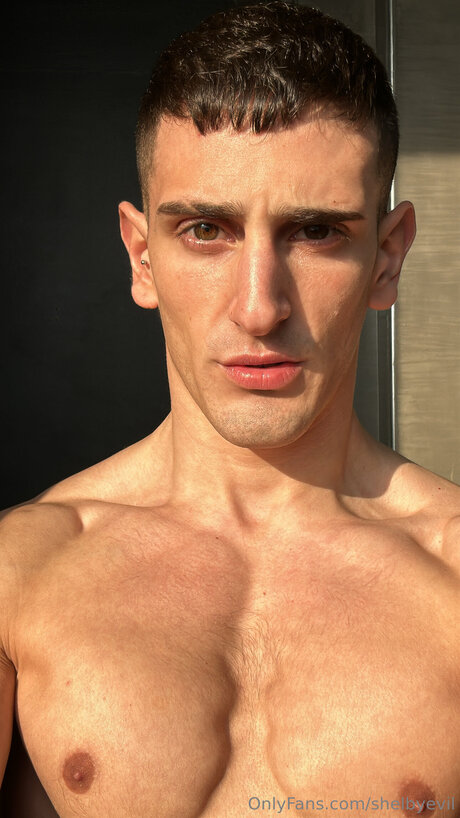 Shelbyevil star pretty images