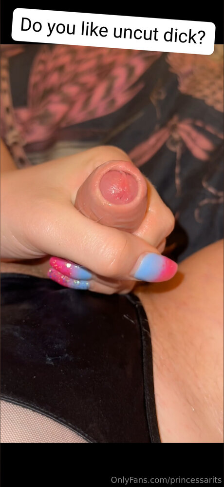 Princessarits art pornstar img