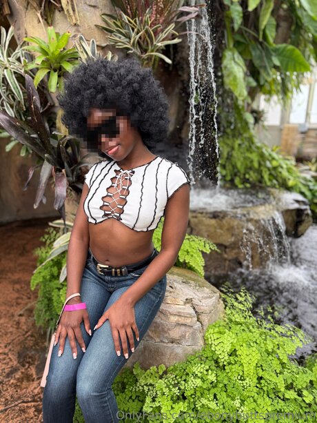 Ebonybuttspremium star top galleries