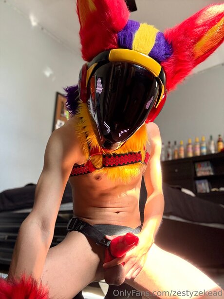 Zestyzekead nice star img