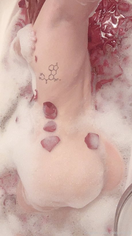 Felicia vina pornstar sex img