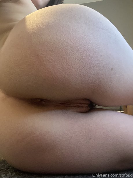 Sofbratxo naked pornstar photos