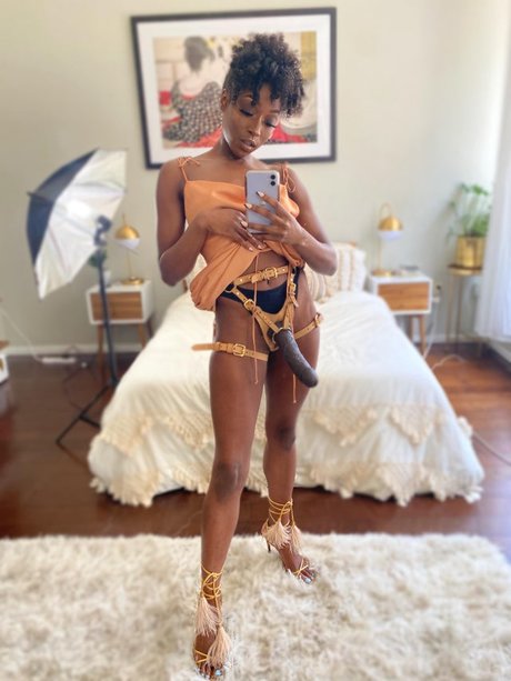 Tasha Black star xxx archive