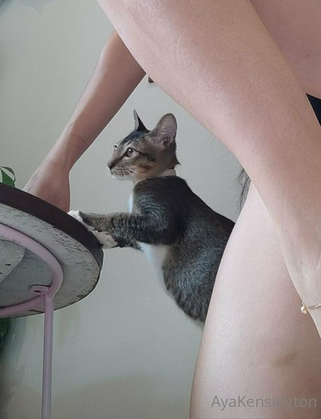 Aya Kensington nude pornstar photos