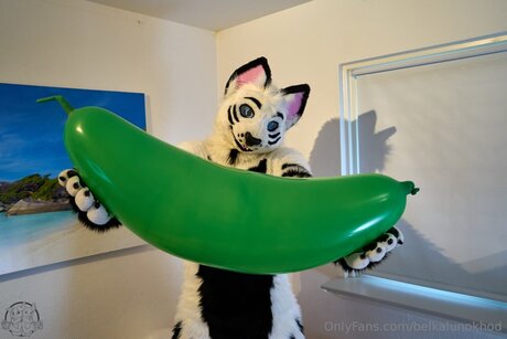 Belkalunokhod art model images