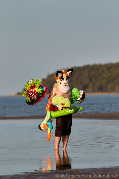 Belkalunokhod xxx actress gallery