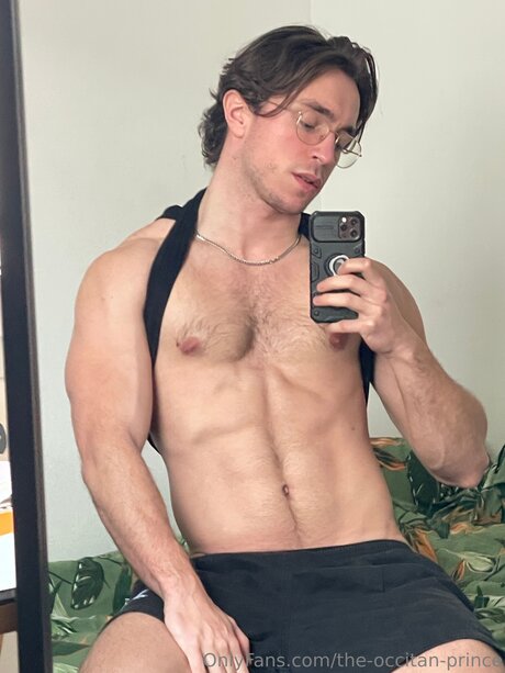 The Occitan Prince model top pic