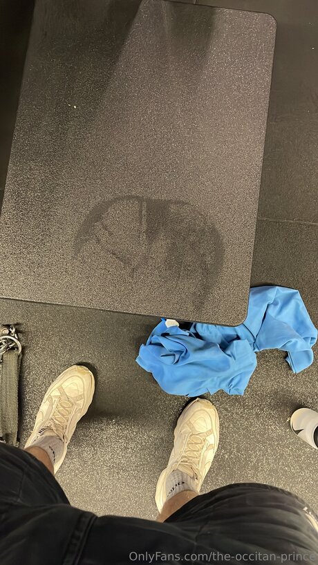 The Occitan Prince model nice pictures