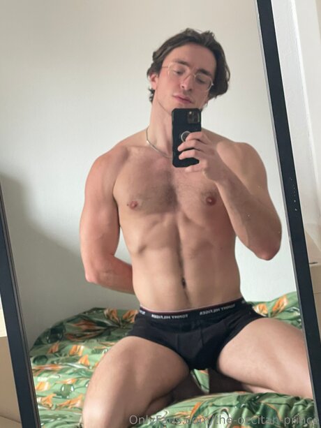 The Occitan Prince high quality pornstar img